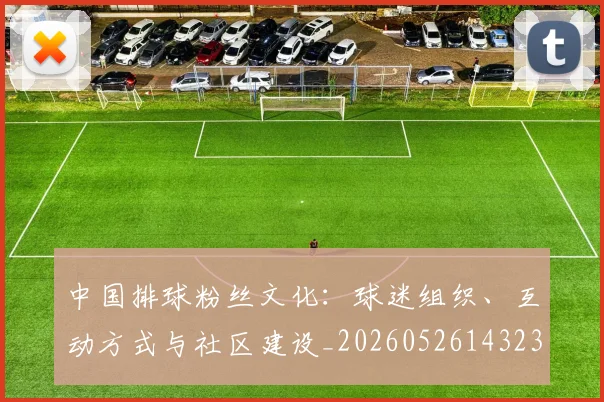 中国排球粉丝文化：球迷组织、互动方式与社区建设_20260526143235