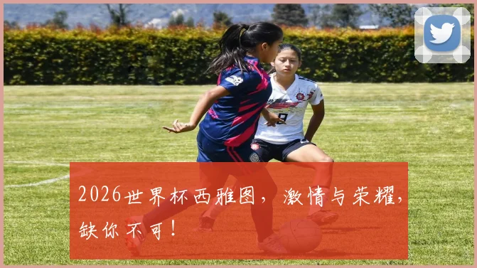 2026世界杯西雅图，激情与荣耀，缺你不可！