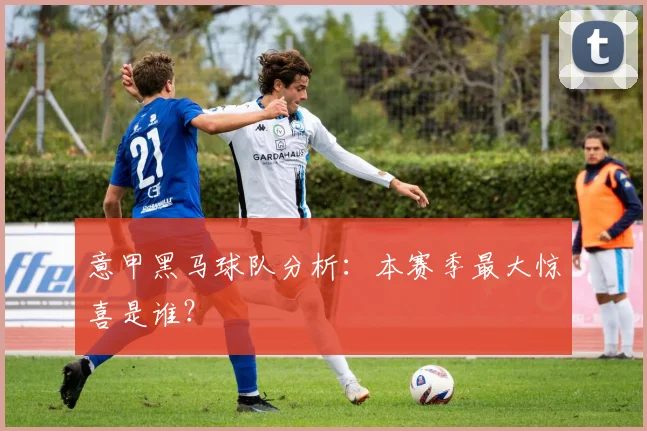 意甲黑马球队分析：本赛季最大惊喜是谁？